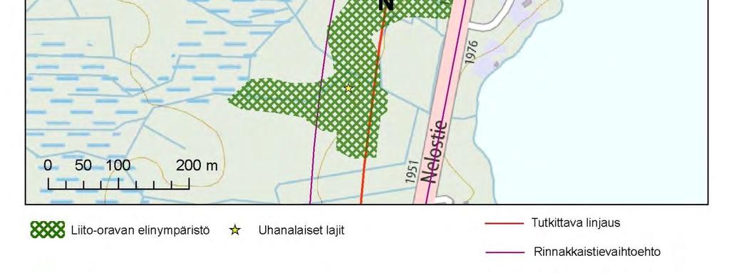 välittömässä läheisyydessä sen itäpuolella Iso-Hirvasen Tuomariniemen kohdalla.
