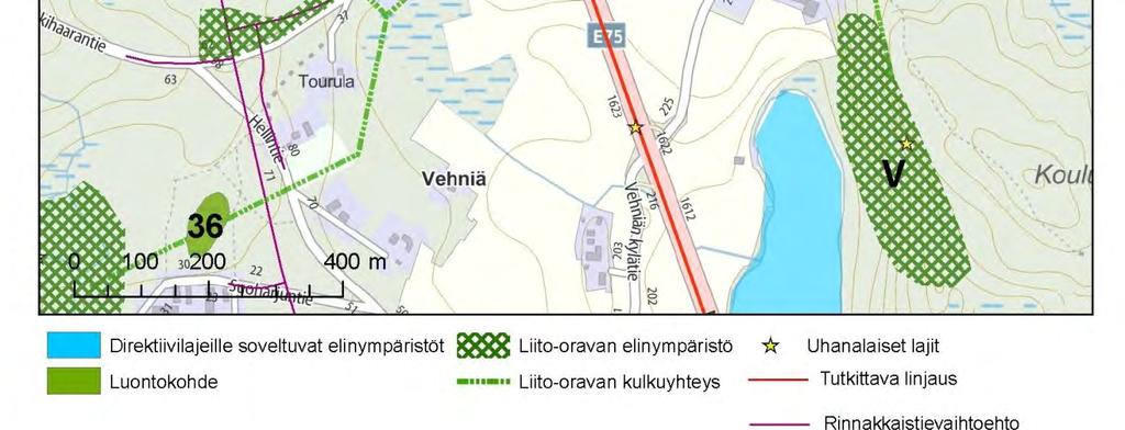varttunutta kuusikkoa. Puustoa on väljennetty.