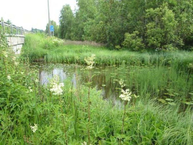 Luontoselvitys 32 / 76 millaan öisin.