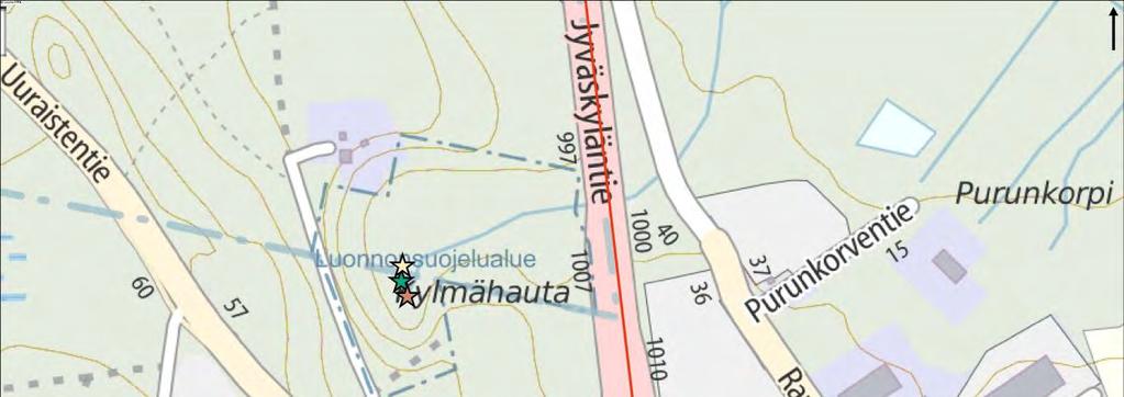 Luontoselvitys 46 / 76 Harsosammal (Trichocolea tomentella) (VU) Vaarantunutta ja erityisesti suojeltavaa harsosammalta esiintyy Kylmähaudan alueella kostean rotkon rinteessä lähdepuron varressa