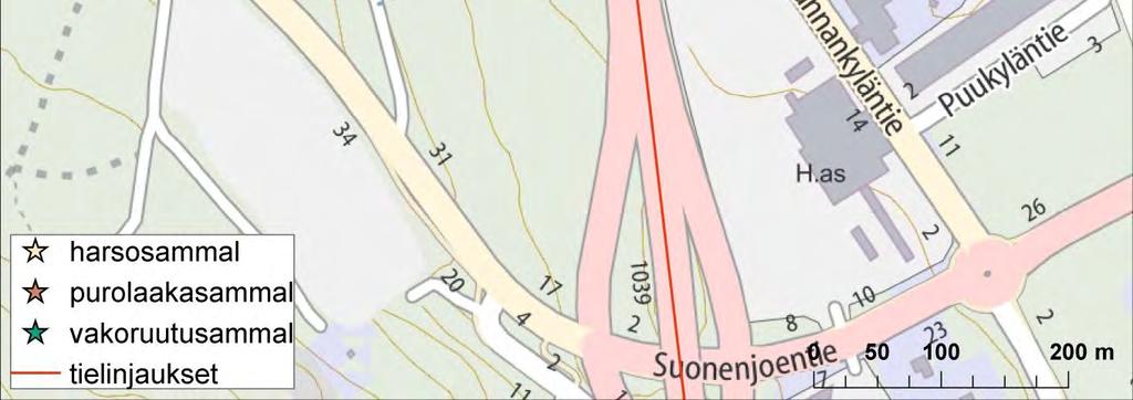 Purolaakasammal (Plagiothecium platyphyllum) (VU) Vaarantunutta ja erityisesti suojeltavaa purolaakasammalta esiintyy lähdepuron yläosassa aivan puron varrella noin 40 metrin matkalla  Kasvualustana