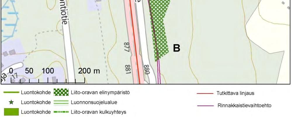 Lähdeympäristön putkilokasvisto on tavanomaista, eikä vaateliaita lajeja purolitukkaa (Cardanube amara) lukuun ottamatta esiinny.
