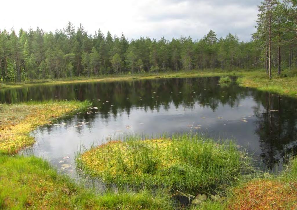 Luontoselvitys 59 / 76 Pienvesien varsien metsälakikohteet voivat lisäksi olla myös vesilain mukaisia kohteita tai luonnonsuojelulain mukaisia kohteita.