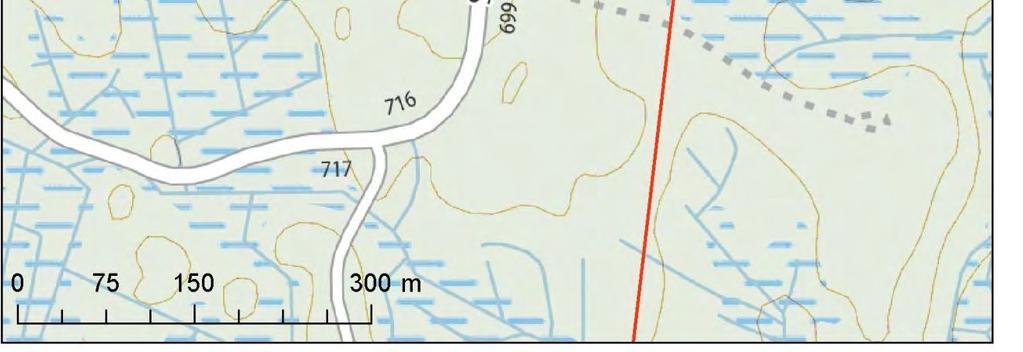 Kuva 7-30 Valkolehdokki kärrypolun laidassa 33.