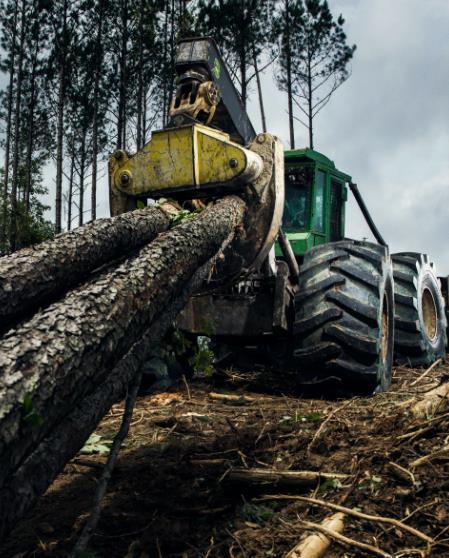 Yhteenveto 2015 + Toimituskyky parani + Metsäkonerenkaiden myynti jatkui hyvällä tasolla, muut tuote-alueet kehittyivät kohtuullisesti + Tuottavuuden paraneminen tuki katetasoa + Myyntivolyymin kasvu