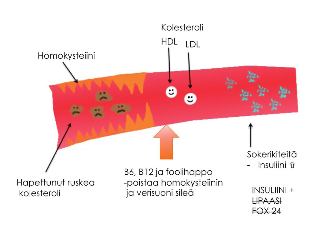 Liikunnan ilo syntyy siitä, kun hiilihydraatti-, rasva- ja proteiiniaineenvaihdunta on tasapainossa ja keho saa riittävästi vitaaliaineita (vitamiinit ja kivennäisaineet).