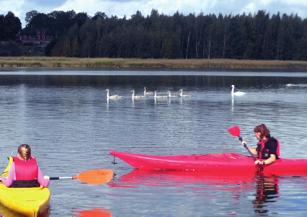 Kevättapahtuma Espoon Luukissa Luukki todettiin hyväksi paikaksi järjestää kyseisenlaisia tapahtumia, joten kevättapahtuman paikaksi valittiin sama paikka.