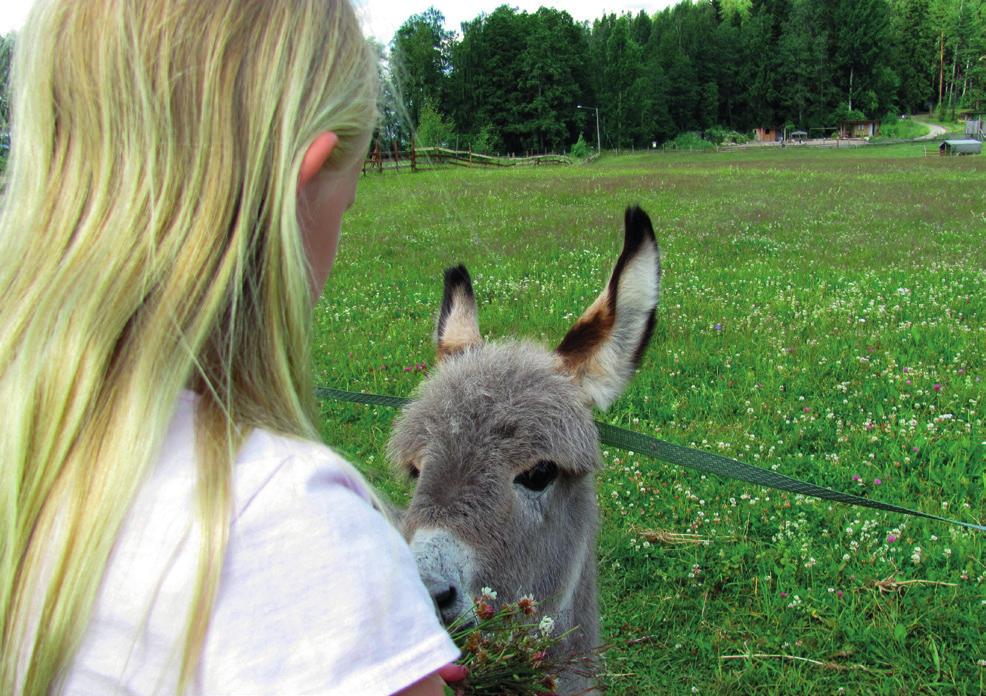 Kirjaa taulukkoon tunnistamasi riskit sekä näkemyksesi riskin syistä, seurauksista ja toimenpiteistä. Arvioi riskin todennäköisyyttä ja riskin vakavuutta asteikolla 1-5.