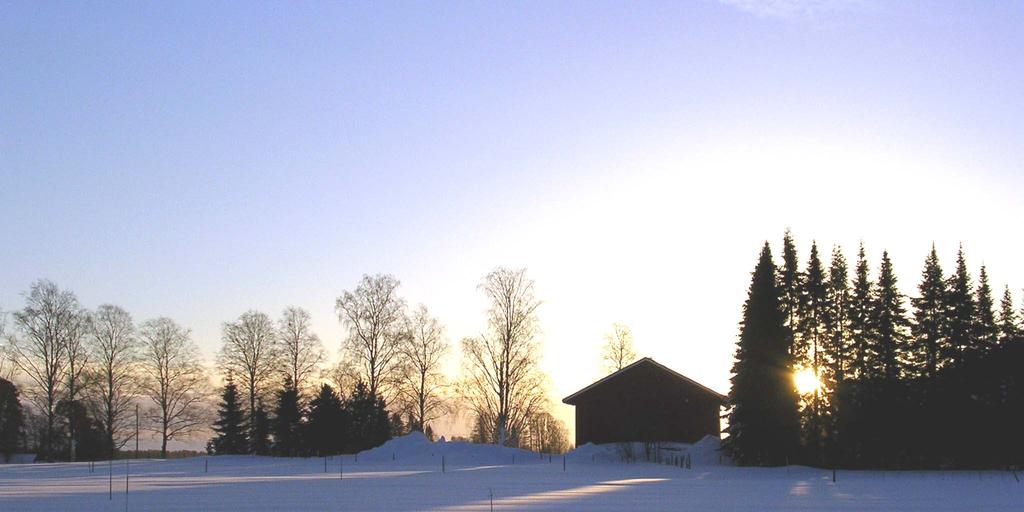 Maaperän ilokaasupäästöt talvella -