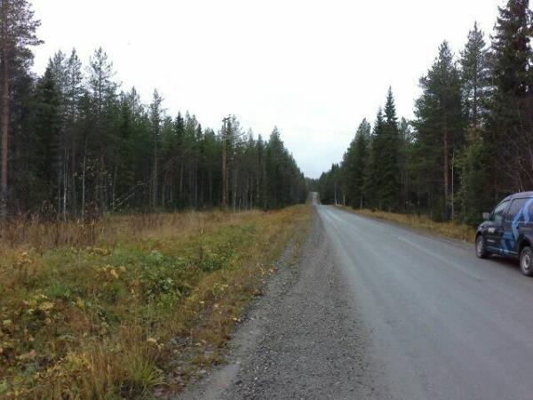 LUPAPÄÄTÖS 36 (39)