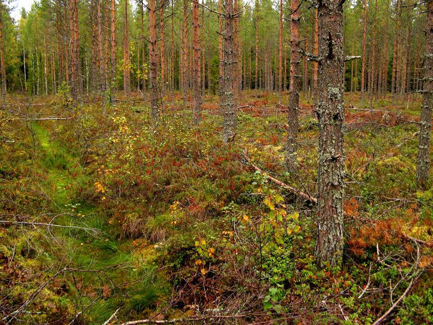 4 Käyttökohteet halkaisijaltaan olevat rakeet. Käytännössä rakeiden koko kuitenkin vaihtelee. Rakeistuksen onnistumiseen vaikuttaa tuhkan ominaisuudet.