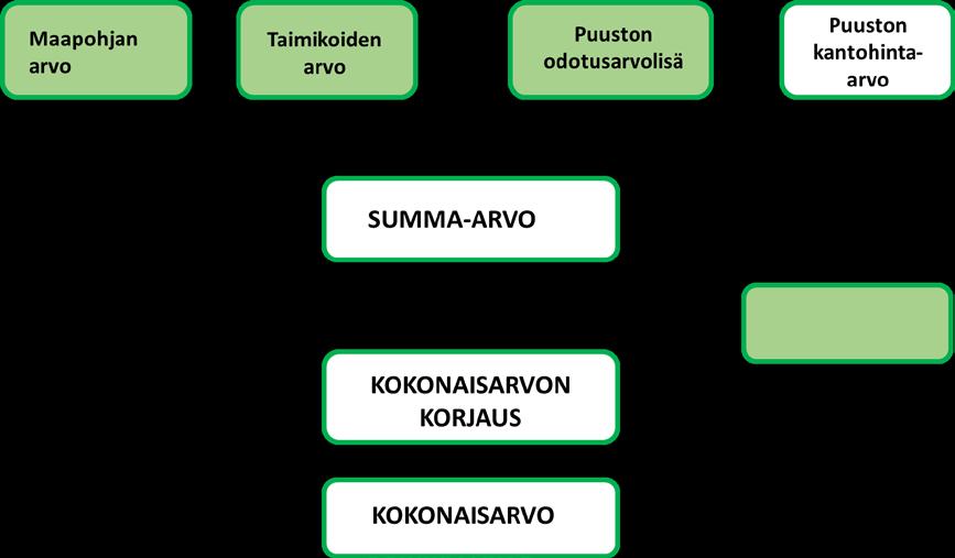 3 Summa-arvomenetelmä 3.1 Summa-arvomenetelmän taustaa Suomessa yleisimmin metsän arviointiin käytetty arviointimenetelmä on summa-arvomenetelmä.