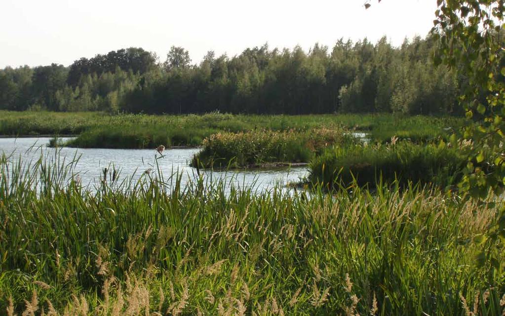 Tuusulanjärven vesikasvikartoitukset 1998 28 Jari Venetvaara 1, Esa Lammi 2, Jari Jokela 1, Jouni Klinga 1 ja Jaana Hietala 3 1) Biologitoimisto Jari Venetvaara Ky 2) Ympäristösuunnittelu Enviro Oy