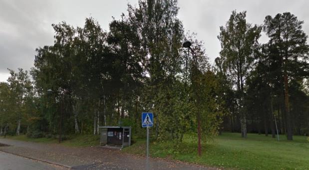 Alueelta laaditaan luontotarkastelu marraskuussa 2015. 5 Kuva 3 Entinen kaupungin museo, Kuntala Kuvat 2 ja 3 Suunnittelualueen puustoa 3.