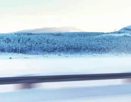 Autot ovat jatkossa osaa sosiaalista mediaa ja ne välittävät entistä enemmän tietoa kulkiessaan myös ympäristöstä ja käyttäjistä.