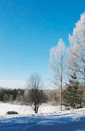 Susi, saha ja GPS -näyttelyssä palataan suomalaisen metsämuseotoiminnan alkujuurille ja tutustutaan myös moderniin metsämuseotyöhön.
