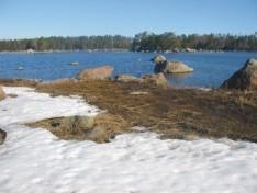 14. 15.4.2007 Ensimmäinen käynti [2 pvää] La 14.4. saareen naapureiden