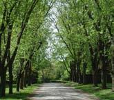 Liittymiskohta: yhteys Haruspuistosta Ison