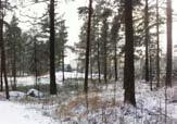 mäntyvaltaista.