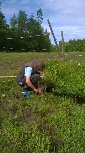 Vedenlaadussa ei ole havaittavissa oleellista eroa aikaisemman ja tämän vuoden välillä, vaikkakin vuoden 2011 fosfori- ja klorofyllipitoisuudet olivat hieman alempia.