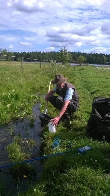 Verrattuna 2011 lähes vastaavina ajankohtina otettuihin näytteisiin Heinijoen fosfaatti-, kokonaisfosfori- ja kokonaistyppipitoisuudet olivat nyt korkeampia.