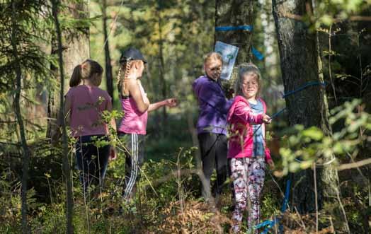 Tätä tanssin voimaa on jatkunut jo yli 20 -vuotta. Kahtena ensimmäisenä vuonna maksutta toimitetut tanssivideot saivat liikkeelle peräti 500 000 koululaista.