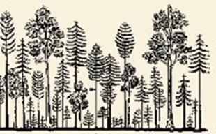 puuplantaasit Faustmann 1849 metsätalous Suomessa ja Ruotsissa kiertoaika 1 kiertoaika 2 Jatkuvapeitteinen metsätalous