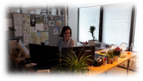 Keskitetty koordinaatiokeskus (24/7 palvelut) Kotisairaala + palliatiivinen tiimi Teknologiaosaaminen