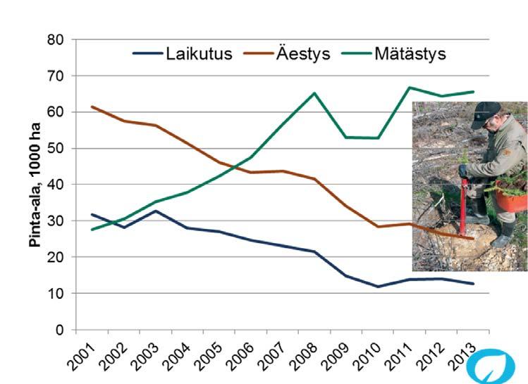 kylvön ja luontaisen uudistamisen kohdevalinta Kuva Oksanen/Metla VMI 2014 Yli 60% Oksanen/Metla