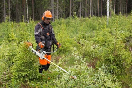 puustolle hyvät olosuhteet aina seuraavaan