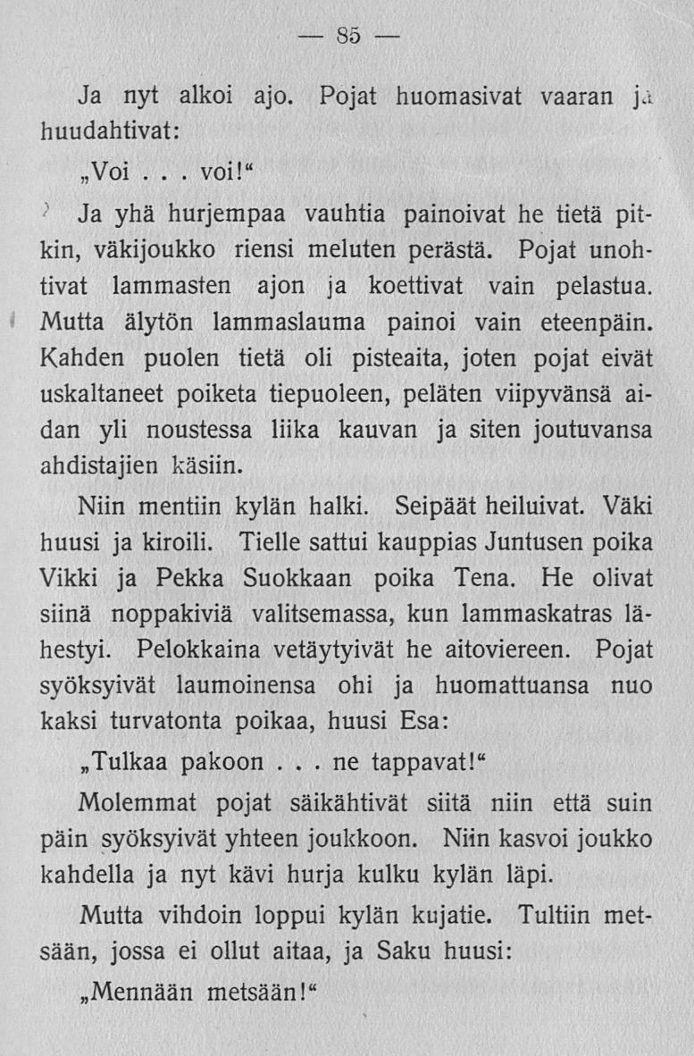 Karvainen pojat ja isot kalut