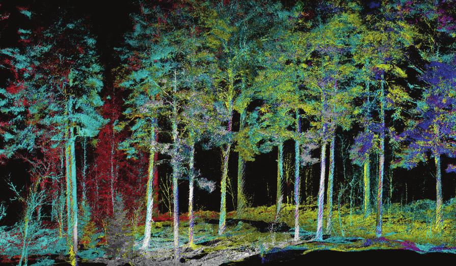 Forest Big Data (FBD) -tulosseminaari 8.3.