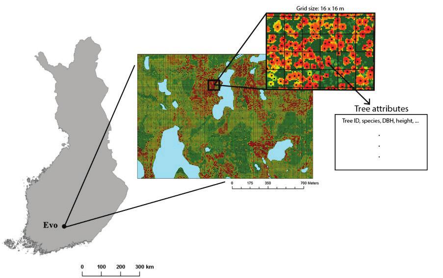 Tulevaisuuden metsävaratieto Ajantasainen hilatason inventointi +