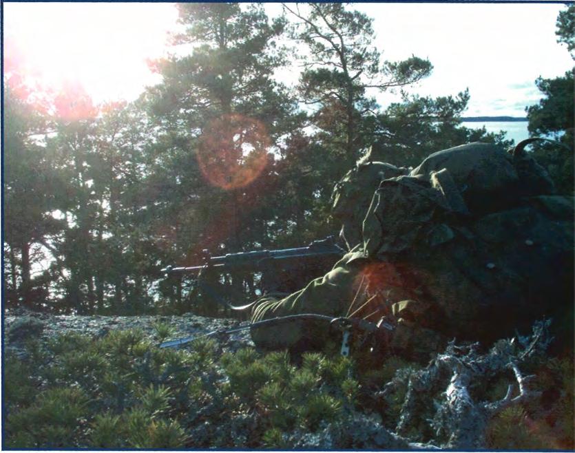 Lisäksi komppanioihin koulutetaan ja sijoitetaan komento-ja huoltoosien tarvitsemat tukitaistelijat ja veneenkuljettajat.