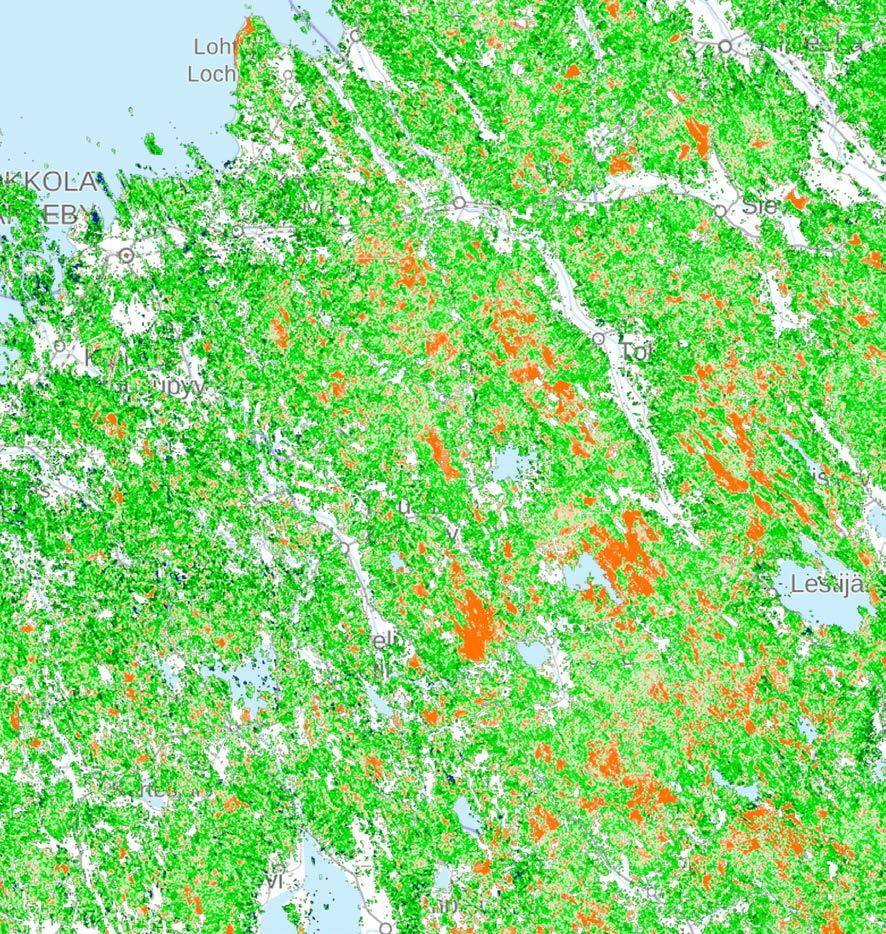 Puuston määrä tilavuuden mukaan Vihreä ja sininen väri kuvaa metsäbiomassaa Ruskea kuvaa