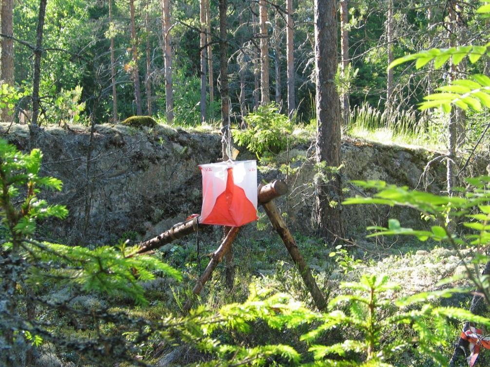 KaSun Viesti 2016 Kuntorastikausi alkaa!
