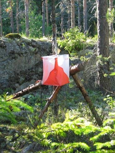 Kuntorastikaudesta tulossa vilkas Kuntorastikausi käynnistyy jo ti 19.4. eli reilun viikon aikaisemmin kuin edellisenä kesänä.