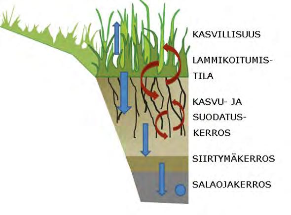 GREEN STREET PUUTARHAKADUN HULEVESIEN HALLINTAPERIAATTEITA Sadanta ja pintavalunta 1. Kitakaivot, imeytyskaivot - Ohjaus rakennekerroksiin 1. Läpäisevät materiaalit - Avoin asfaltti, läp.