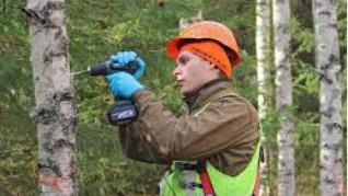 Pakurin myyntiverotus Tällä hetkellä luonnonvaraisen pakurin keruu ei ole veron alaista, ja ammattimaisen viljelyn tuotos on maatalouden ansiotuloa Tavoitteena on muuttaa tuloverolakia siten, että