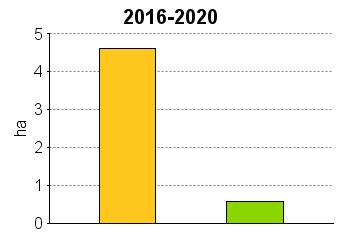 UPM Metsäsuunnitelma Tulostettu 20.6.