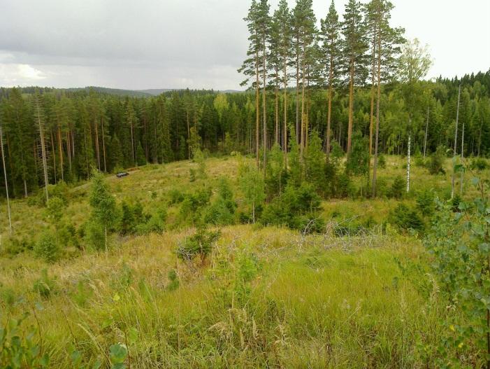 3 Kyöstilänharjun alue sijaitsee Tervakosken taajaman itäpuolella ja Vähikkälän kylän pohjoispuolella, Valajärven eteläpäästä runsaan kilometrin itäkoilliseen. Aluekuuluu 2.