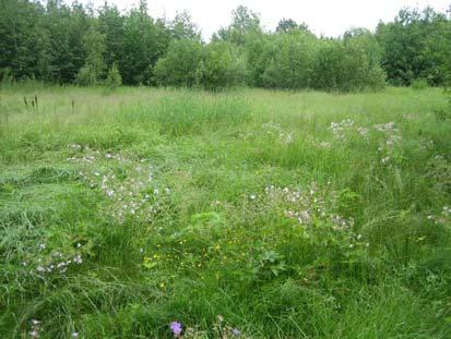 2 Selvitysalueen pelto ja metsänreuna sisältyvät Saarenkylän maakunnallisesti arvokkaaksi luokitellulle maisema-alueelle (Horppila-Jämsä & Salminen 1996).