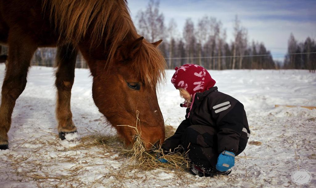 Kiitos