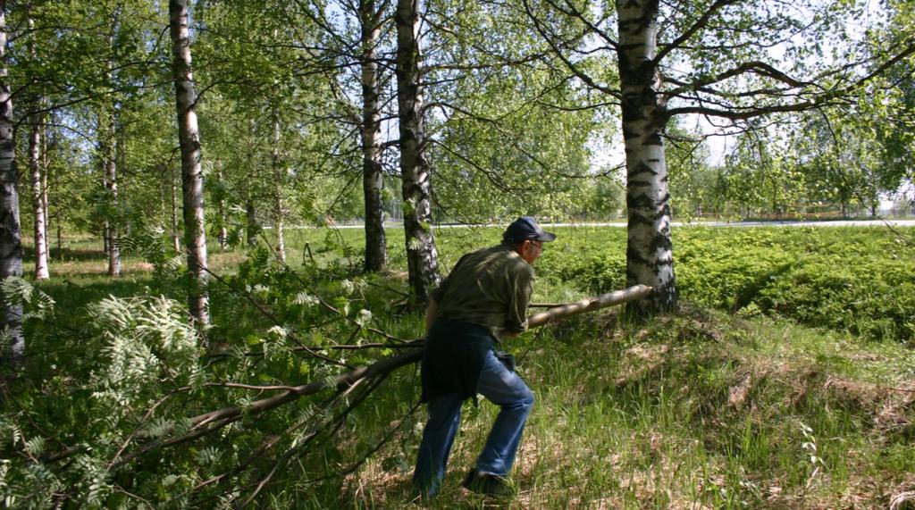 Kulttuuriympäristö näkyväksi KYNÄ-hanke - PDF Ilmainen lataus