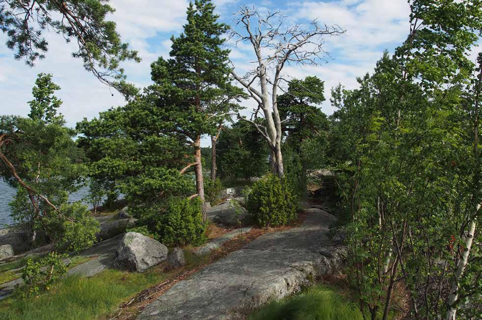 Lisäksi Helsingin luonnonsuojeluohjelmassa 2015-2024 on esitetty rauhoitettavaksi Rudträsk, Uutelan koillisosassa oleva harvinaisen suurta ja yhtenäistä kosteikko-korpialuetta Helsingissä edustava
