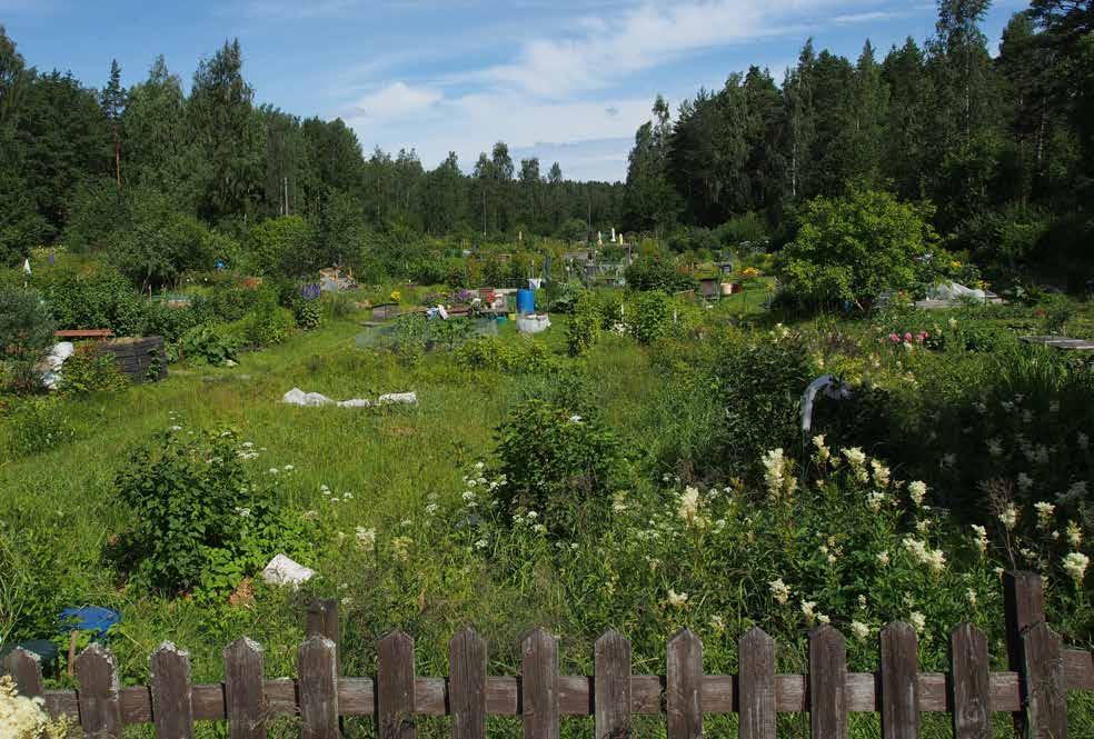 Skatan koirapuisto) käyttää aktiivinen harrastajayhteisö ja sen ylläpito tapahtuu pääasiassa talkoovoimin.