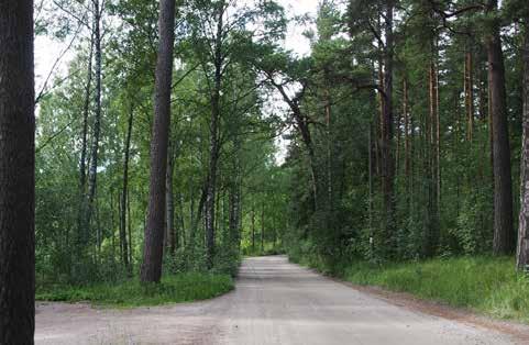 4.3.3 ALUE 3 Nykytila: Vuosaarenlahteen ja Särkkäniemen luonnonsuojelualueeseen rajautuva metsäinen rantavyöhyke Uutelan koillisosassa. Alueen maasto on loivapiirteistä ja alavaa moreenimaata.