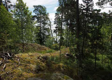 8 ALUE 8 Nykytila Uutelan länsiosien rantavyöhyke, jossa on sekä jyrkkäpiirteisiä että alavia osuuksia, sekä vastikään kaupungin hallintaan siirtynyt Nuottasaaren ulkoilualue.