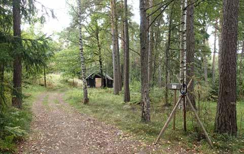 4.3.9 ALUE 9 Nykytila: Pohjois-eteläsuuntainen havumetsävaltainen ja osin kallioinen selänne, joka rajaa viljelypalsta-alueen laaksoa ja Pitkälahden poukamaa.