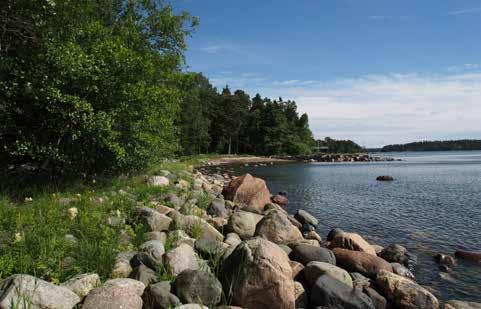 Alueella on vanhoja yksityisomistuksessa olevia huviloita, ja niiden pihapiirejä, mm. Villa Vuosanta, jonka pihapiiri on puutarhakasvillisuudeltaan erittäin arvokas.